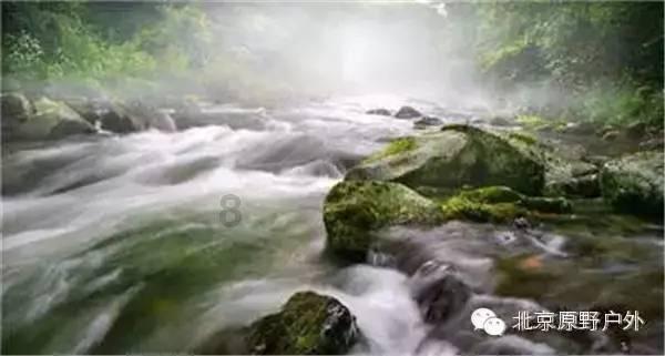 菊边依旧舞身轻